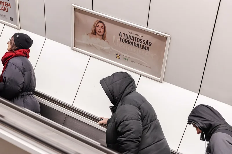 Metró és villamos – BKV mozgólépcsők és villamosbelsők